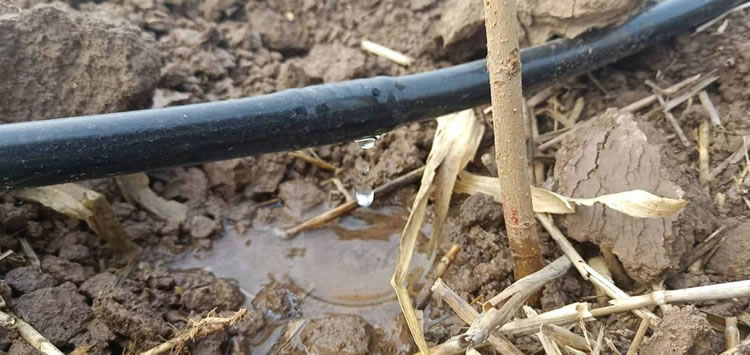 �Д�����c�c�yԇ�c�ľ��x