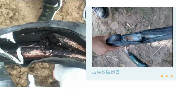 �F�����Ì���